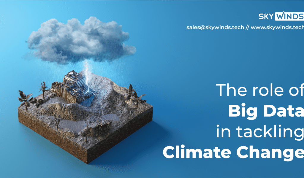 The Role of Big Data in Tackling Climate Change