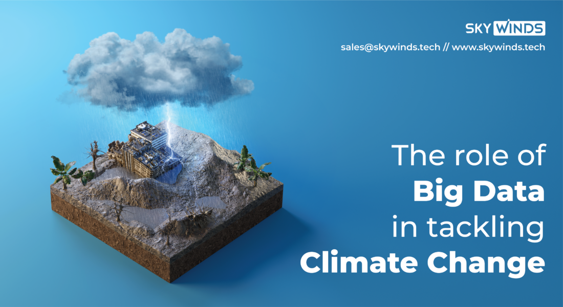 The Role of Big Data in Tackling Climate Change